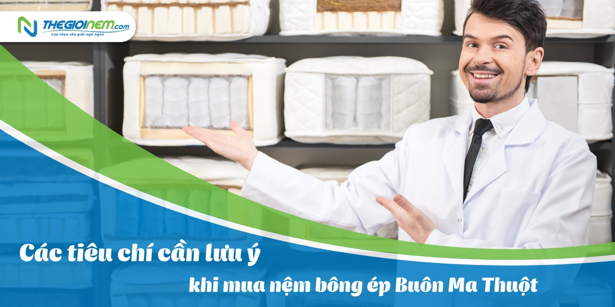 Cửa hàng bán nệm bông ép Buôn Ma Thuột | Thegioinem.com