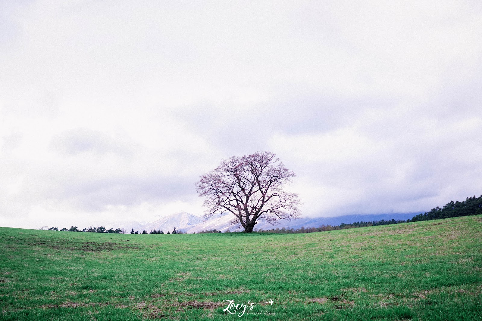 Zoey S 旅遊札記