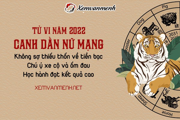 tu-vi-tuoi-canh-dan-nam-2022-nu-mang-2010