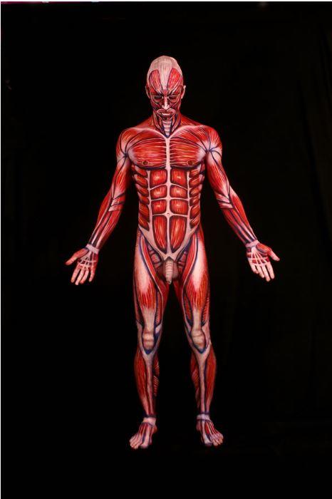C:\Users\WIN10\Downloads\Body Painting\Muscular.JPG