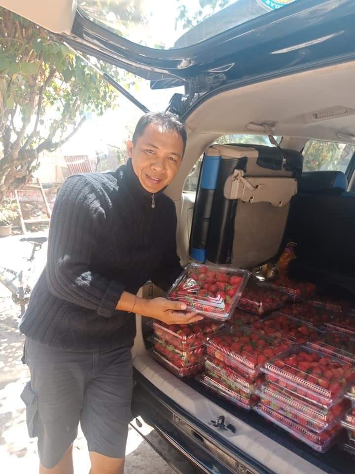 Summer Of 2020 Strawberry Picking In Pancasari Bali