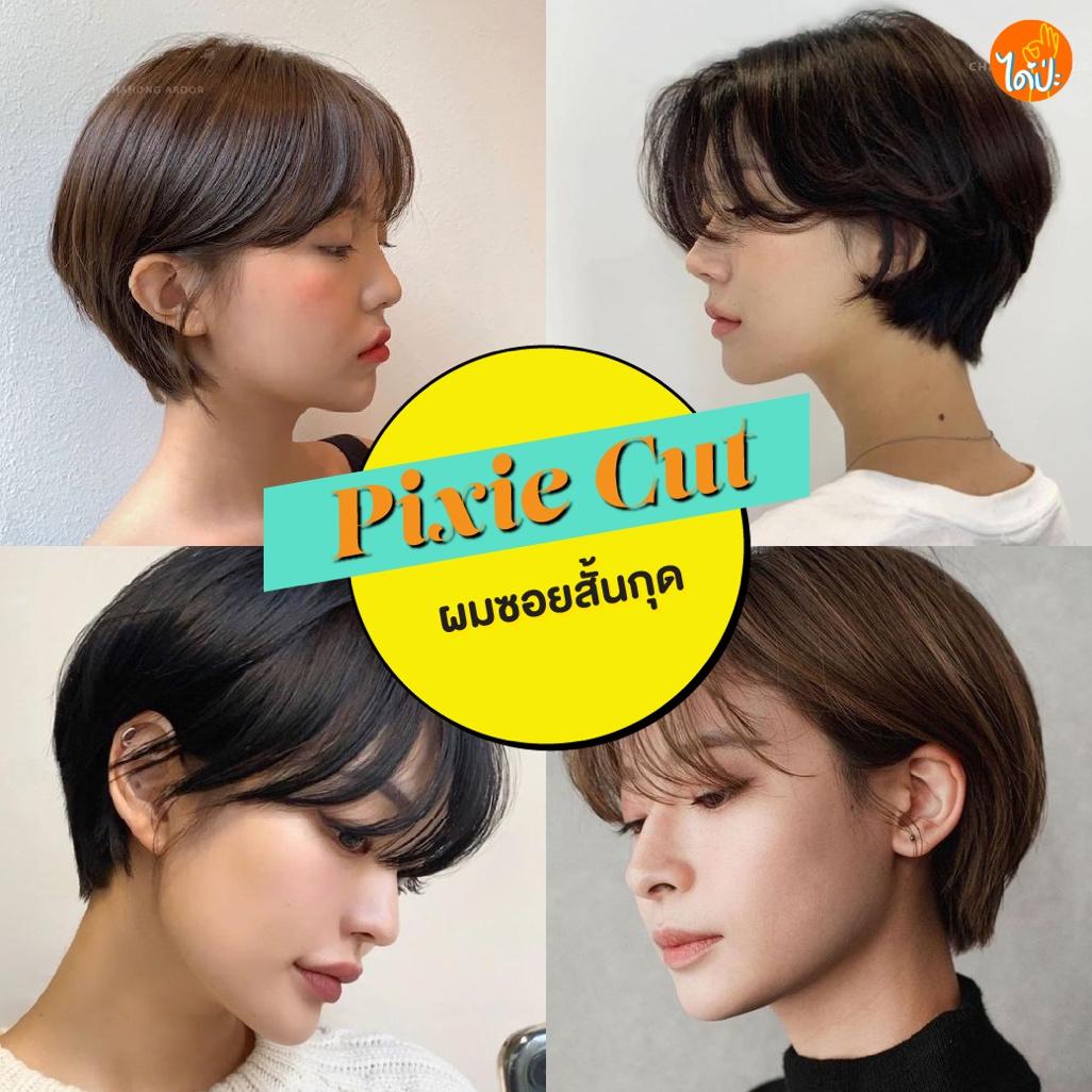 May be an image of 4 people and text that says 'ได้ป่ะ Pixie Cut ผมซอยสันกุด'
