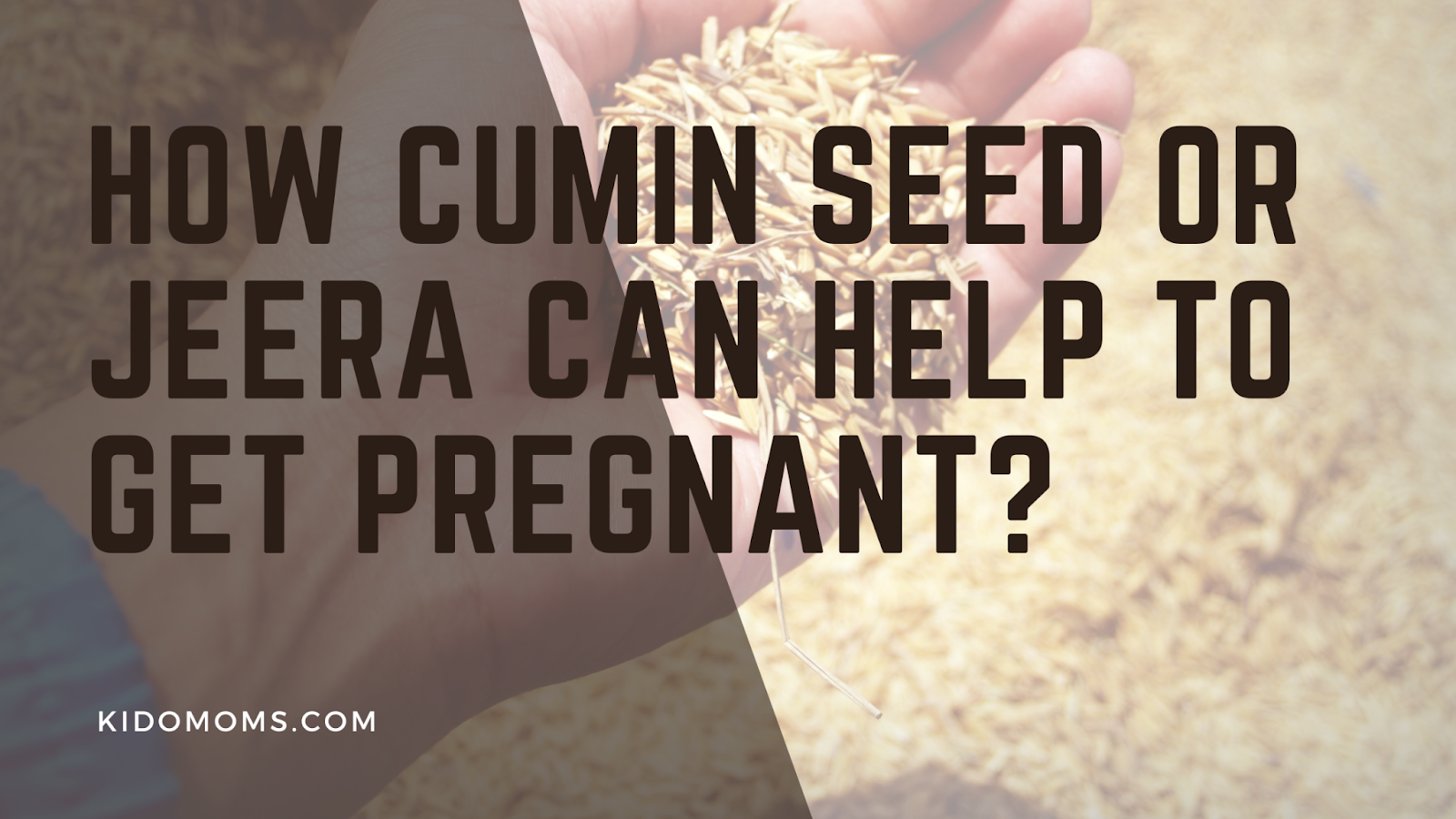 How Cumin Seed or Jeera Can Help to Get Pregnant?