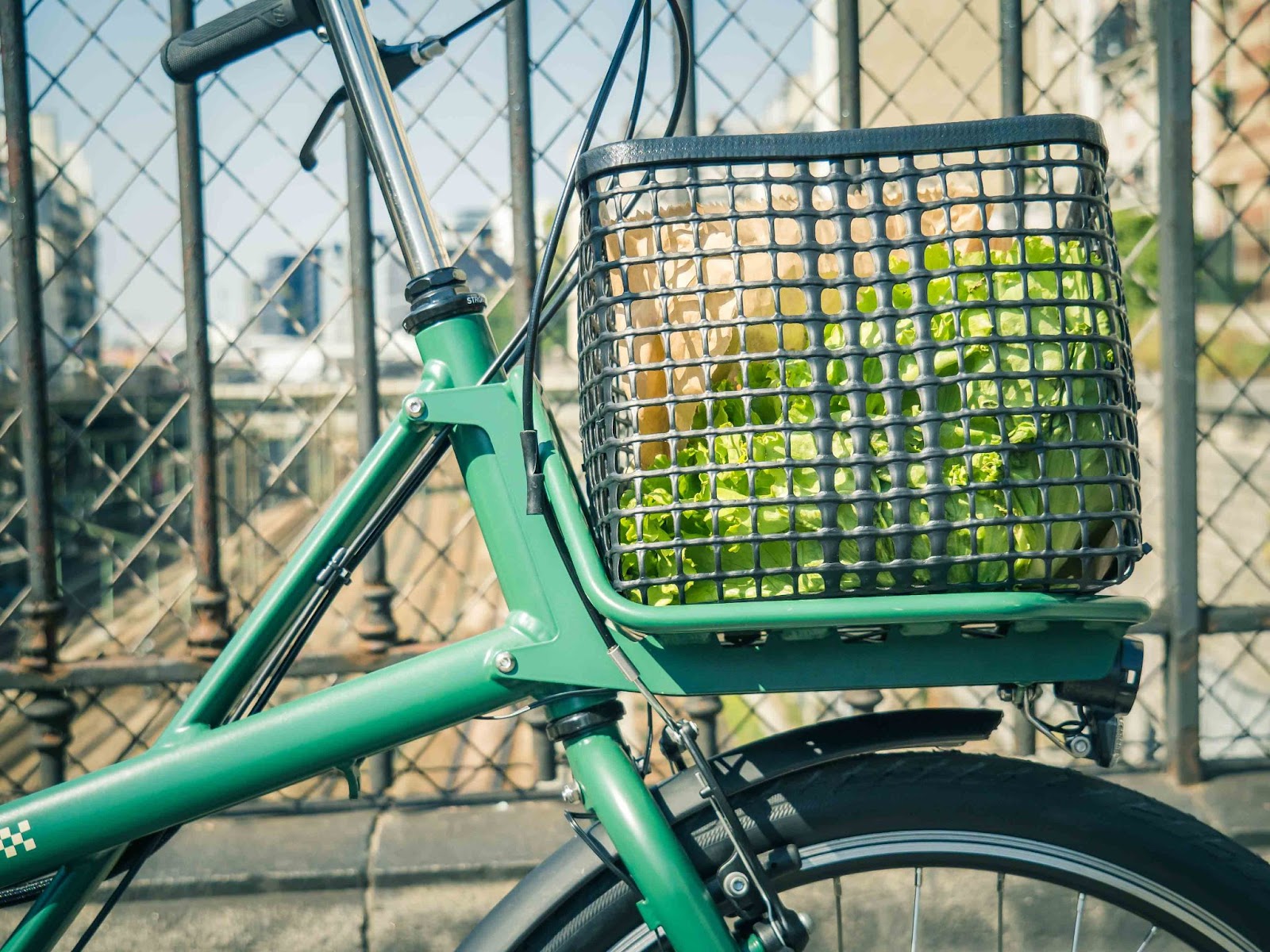 Panier avant vélo en maille ostréicole