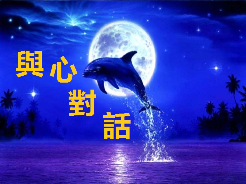 83537__dolphin-fantasy_p.jpg