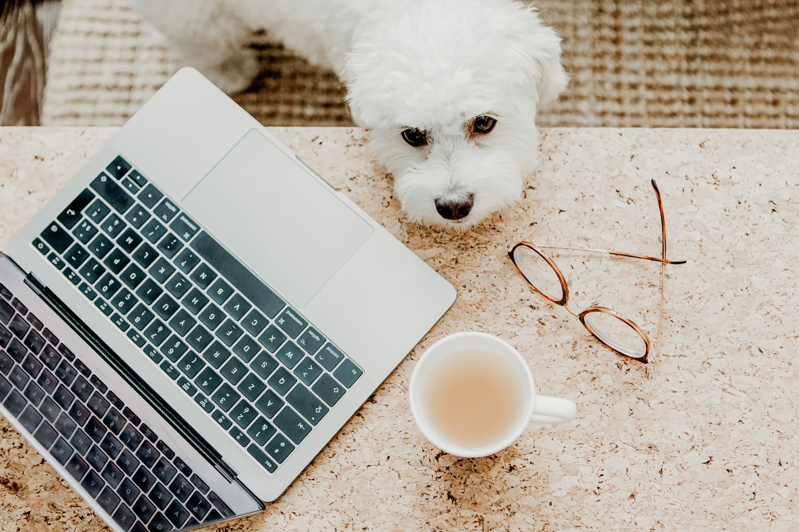 Need to work from home and thinking about freelancing online? Here are 5 simple steps you can take to start a freelancing side-hustle online!