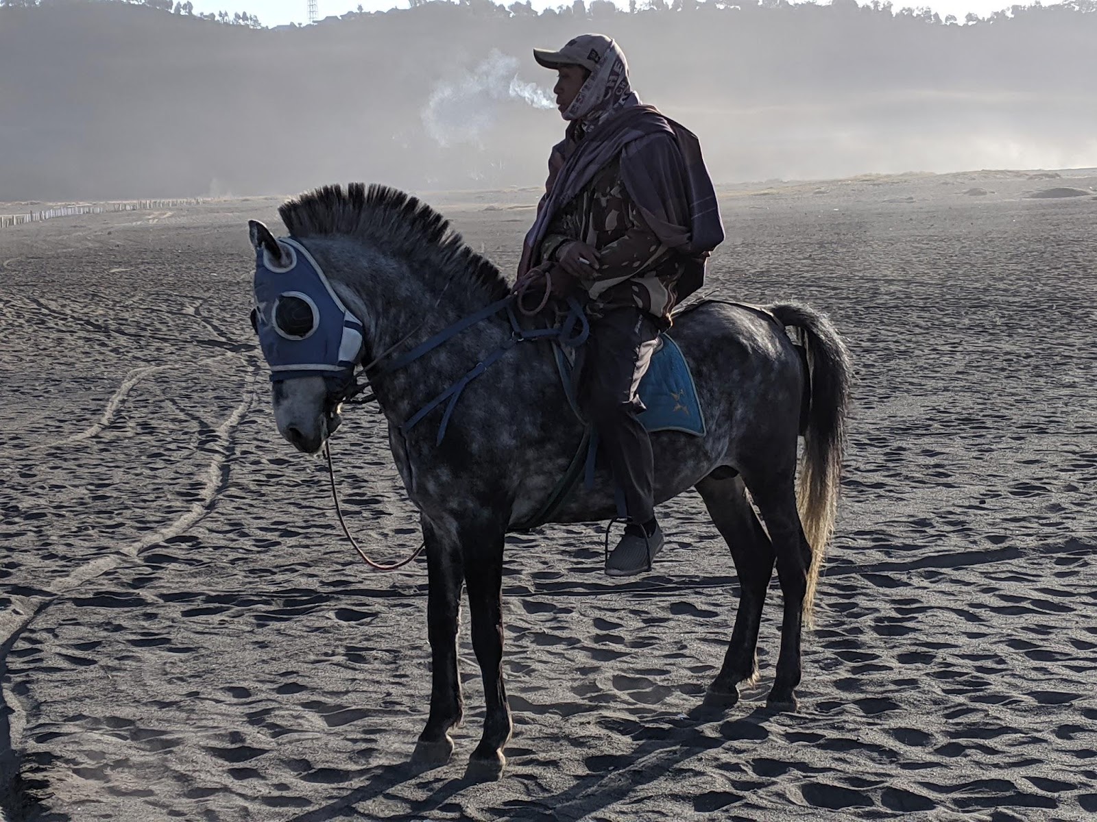 印尼布羅莫火山騎馬