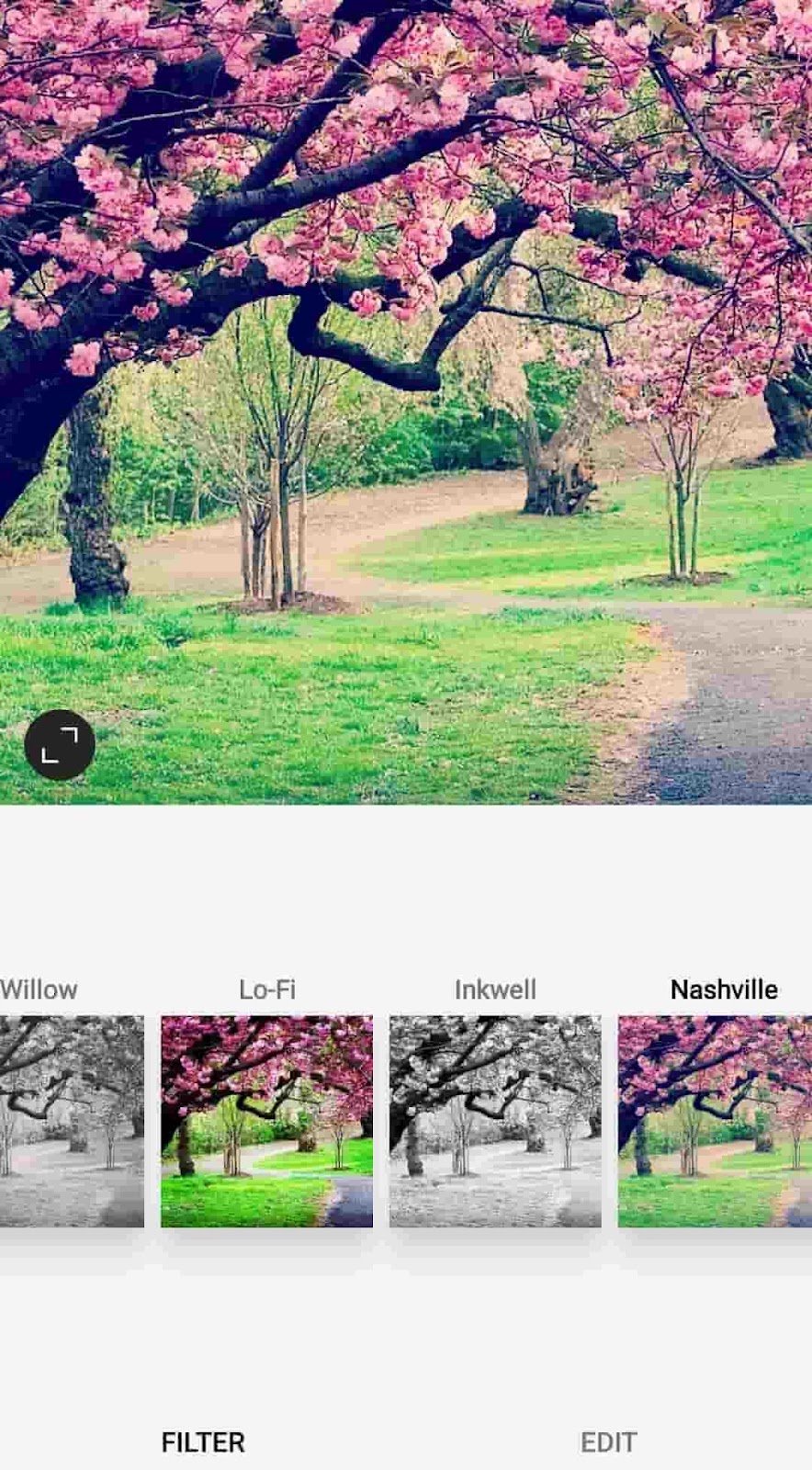How to Use Filters on Instagram + The Most Popular Filters [2023]