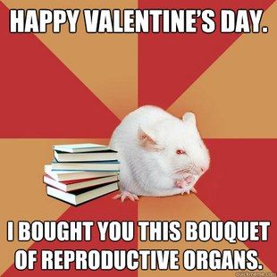 sciencemajormouse_bouquet.jpg