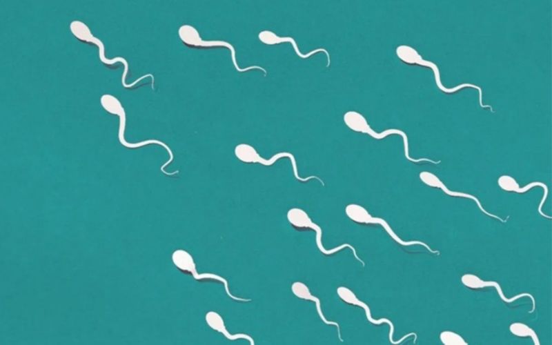 Lượng tinh trùng ít có thể báo hiệu nam giới đang có một số vấn đề liên quan đến sức khỏe tình dục