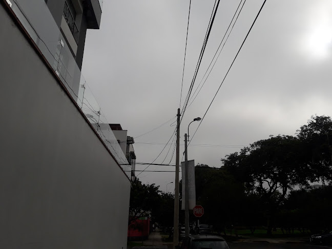 Dr. Johnny Pita - Cirujano Plástico en Lima - Cirujano plástico
