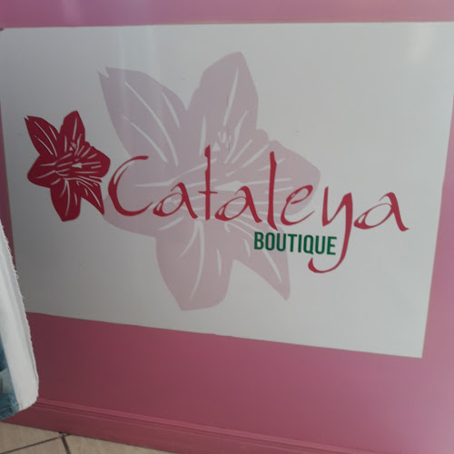 Comentarios y opiniones de Cataleya