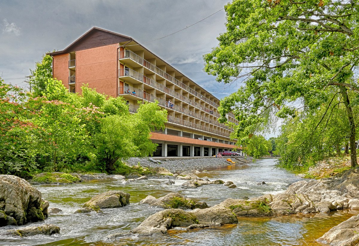 bed bugs in pigeon forge