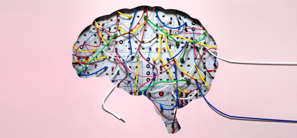 How To Be A Better Leader By Rewiring Your Brain | Inc.com