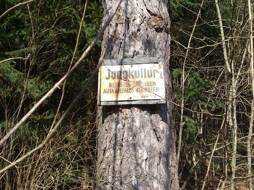 Baum mit Schild 'Jungkultur'