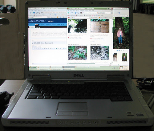 Pam-NatureWoman-workspace_m