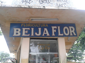 Floricultura Beija Flor