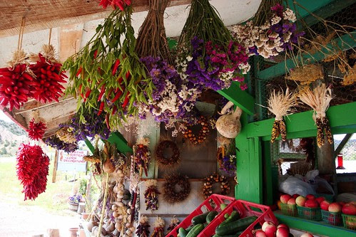 Drying flowers and Chiles