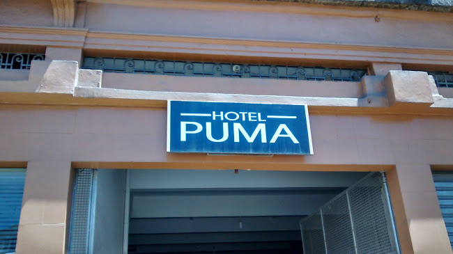 Hotel Puma