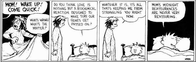 Chronicles Of Calvin N Hobbes Calvin S Mom Special