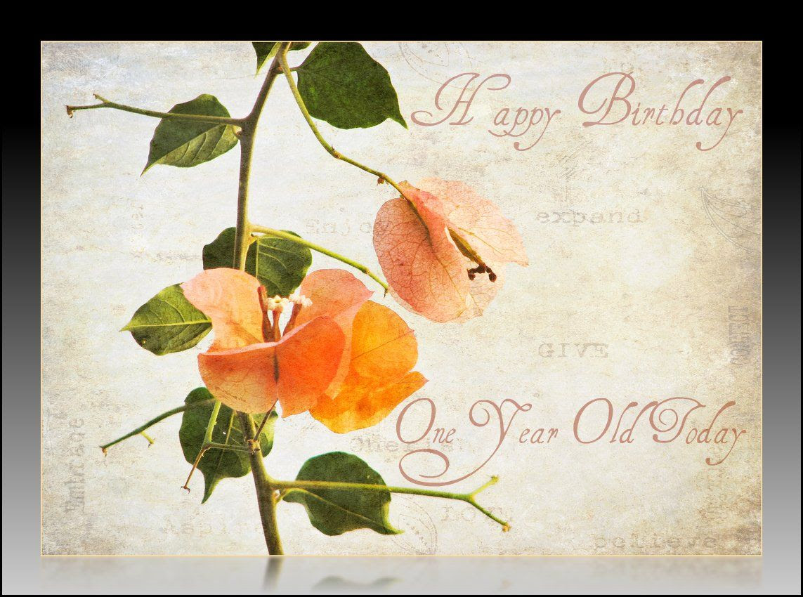 1/2 Birthday
