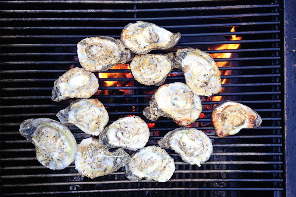 oysters4