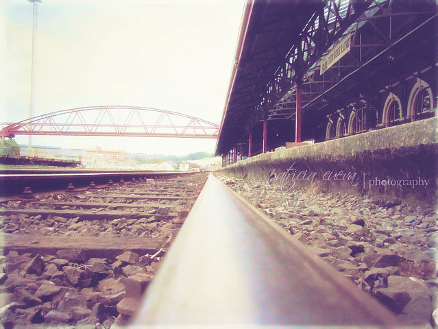 Entre rieles