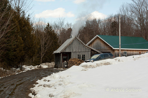 Sugaring in Barton (2 of 77).jpg