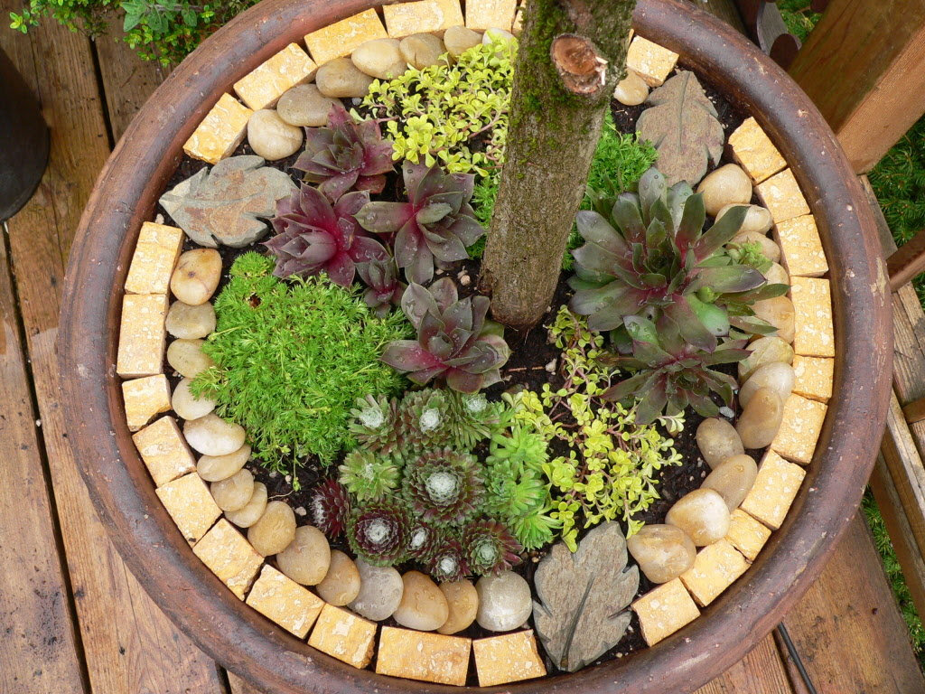 The Pecks: Decorating outdoor pots with stone, small plants ...