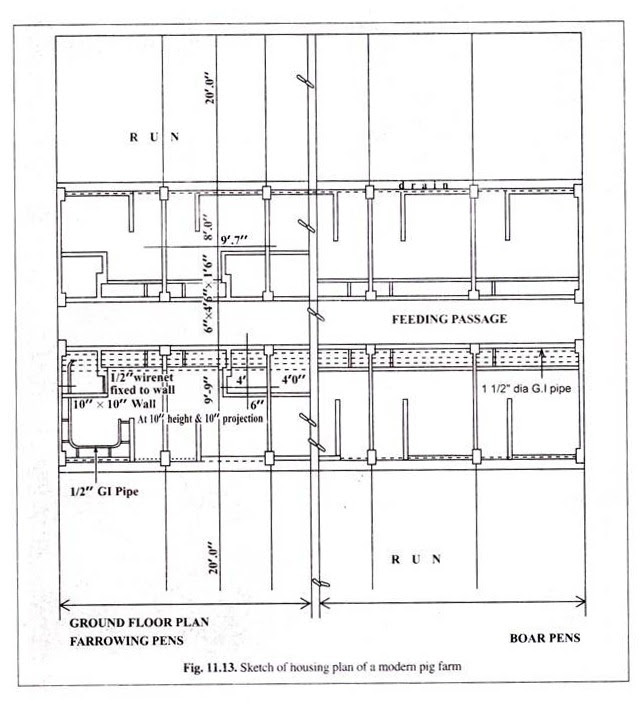 piggery-floor-plan-design-pdf-viewfloor-co