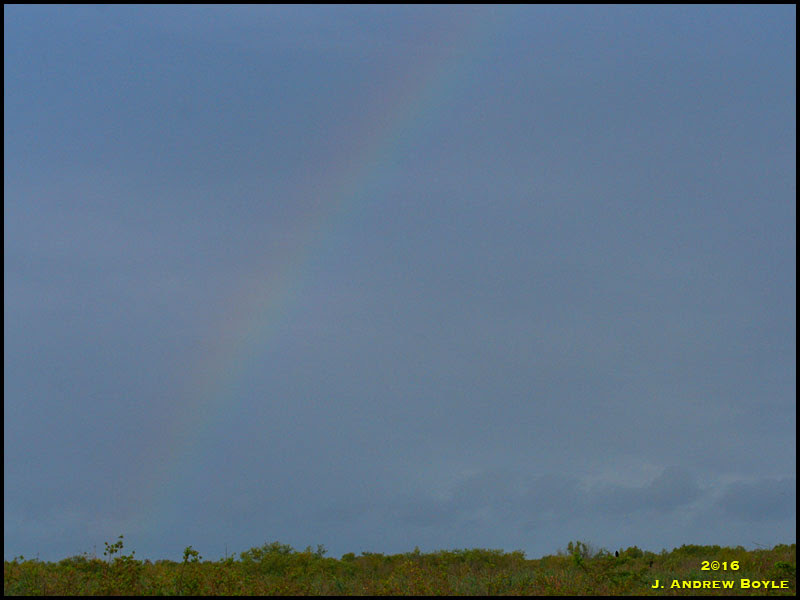 Rainbow Rainbow