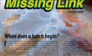 Hatches 2011: Emerging Patterns – Tying the Missing Link by Russ Forney