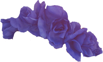 flower crown: NEW 138 PURPLE FLOWER CROWN PNG