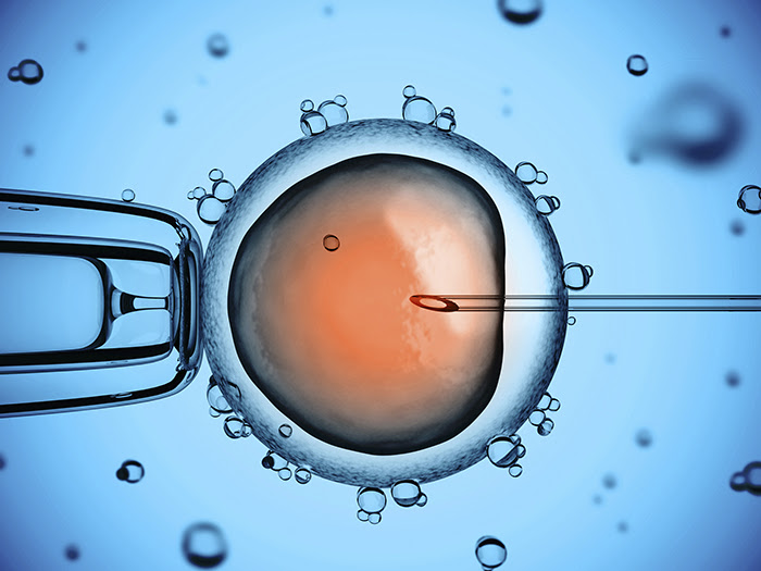 Image result for in vitro fertilization