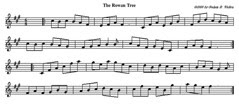 The Rowan Tree