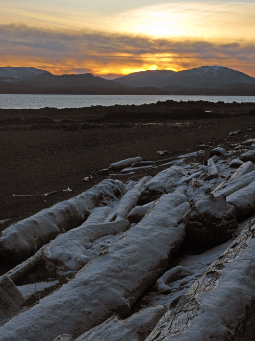 snow-covered logs on the beach at sunset, Kasaan, Alaska