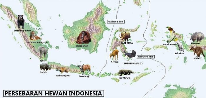 Keanekaragaman Hayati Biologi Faktor Penyebab Indonesia Mempunyai Keanekaragaman Hayati Yang Tinggi
