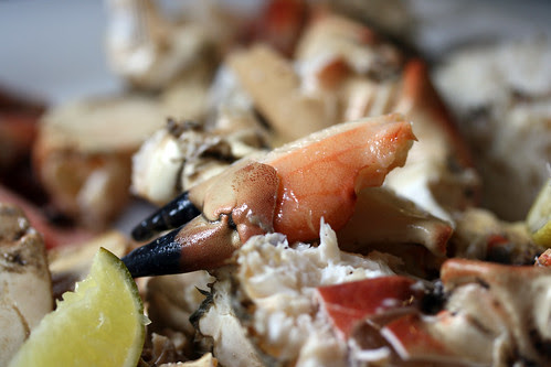Crab claw