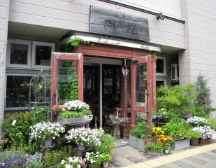 50 素晴らしい札幌 花屋 おしゃれ 全イラスト集