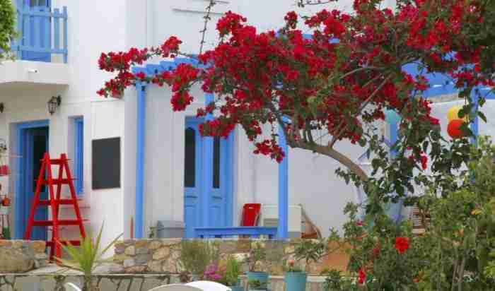 Το πρώτο «πράσινο» νησί της Μεσογείου είναι Ελληνικό. Εκεί έζησαν οι τελευταίοι ελέφαντες της Ευρώπης! Το πρώτο «πράσινο» νησί της Μεσογείου είναι Ελληνικό. Εκεί έζησαν οι τελευταίοι ελέφαντες της Ευρώπης!