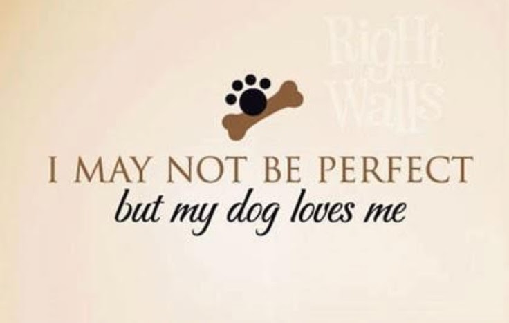 I Love My Dog Quotes. QuotesGram I Love My Dog Quotes. QuotesGram