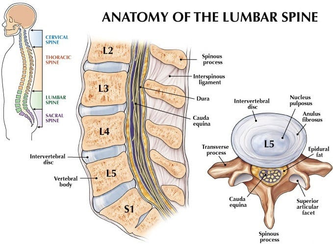 l4 spine location