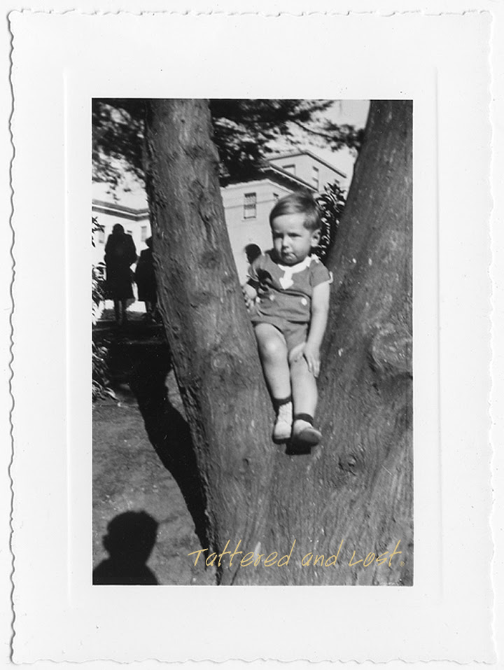 boy in a tree_tatteredandlost