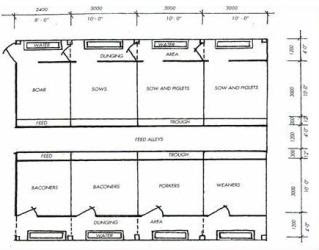 floor plan pig farm layout design
