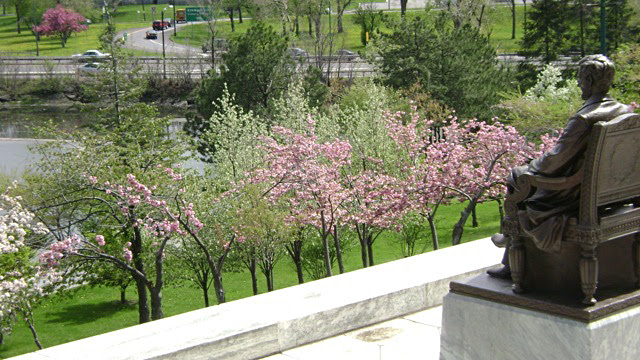 Lincoln statue overlooks cherry blossoms in Japanese Garden of Buffalo