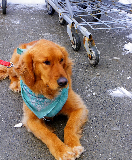 Wheels (Sidetracked): ODC (13 January)
