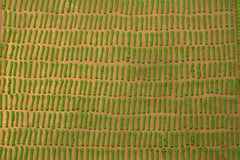 a thousand blades of grass