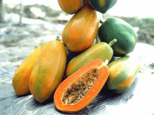 Ngoài công dụng se khít lỗ chân lông, đu đủ còn giúp chống thâm rất hữu hiệu sau khi tẩy lông