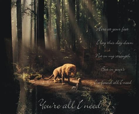 Aslan Wallpapers Wallpaper Cave Aslan Wallpapers Wallpaper Cave