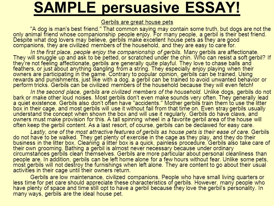 how to write a short argumentative essay